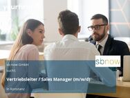 Vertriebsleiter / Sales Manager (m/w/d) - Konstanz