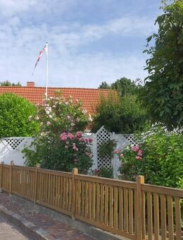 Die Perle in der Domstadt - Meldorf