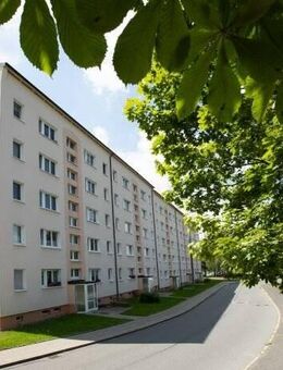 schöne, helle 1-Zimmer Wohnung - Neustadt (Sachsen)