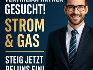 💥 NEUES PROJEKT – VOLLE ENERGIE! 💥 ⚡ Handelsvertreter (m/w/d) gesucht – für ein frisches Projekt im Energiebereich! - Berlin Steglitz-Zehlendorf