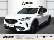 CUPRA Formentor, 2.0 TSI VZ, Jahr 2023 - Hauneck