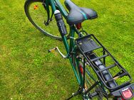 Cityfahrrad - Pirna Zentrum