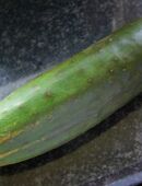 Vespergurke Persika in 70569