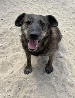CAMILLA FROHNATUR AUF 4 PFOTEN - Mönchengladbach