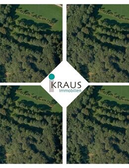 Schöne Waldgrundstücke in LIEBMANNSBERG !!! - Grattersdorf