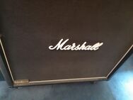 Marshall JCM 900 Speaker - Soest