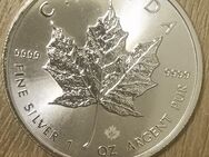 Ankauf von Maple Leaf 1 Oz Silber 9999 Münzen. - Schwerin Zentrum