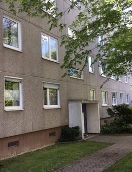Stop! Ansprechende 3-Zimmer-Wohnung - Kassel