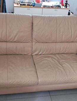Ledercouch - Calw
