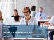 Teamleiter Kundendienst (m/w/d) - Klettgau