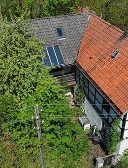 Vision gesucht - Grundstücke mit Haus und Mühle - Göschitz