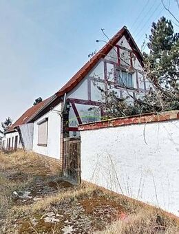 unsaniertes Einfamilienhaus mit viel Nebengelass für 1-2 Familien mitten in Wellaune - Bad Düben