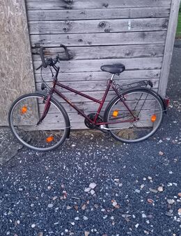 3 Fahrräder - Langerwehe