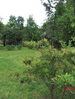 FREUEN SIE SICH AUF IHR FAMILIENGLÜCK IM EIGENEN HAUS IM GRÜNEN! TEL.: 1714863595 - Oberlungwitz