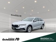 Skoda Octavia, Combi Style 110kw TDI 4xSHZ, Jahr 2021 - Niestetal