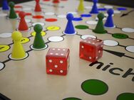 Nette Sie für gemeinsame Spielenachmittage bzw. Spieleabende gesucht ☺️ - Bremerhaven