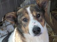 Unsere freundliche Princess sucht Dich - Kallmünz