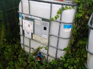 IBC-Container, Wasserfass 1.000 L, Intakt und sauber - Waldbreitbach
