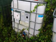 IBC-Container, Wasserfass 1.000 L, Intakt und sauber - Waldbreitbach