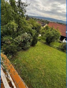 Schönes 3-Familienhaus in Toplage Weinburg / Radolfzell - tolle Aussicht, kurzfristig bezugsfrei! - Radolfzell (Bodensee)