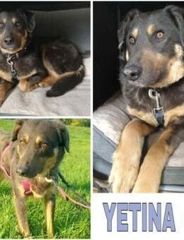 YETINA -möchte ankommen- - Duisburg