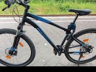 MTB Rockrider ST 120 - Ebersburg