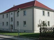 4-Raum-Wohnung im Erdgeschoss in Kamsdorf - Unterwellenborn