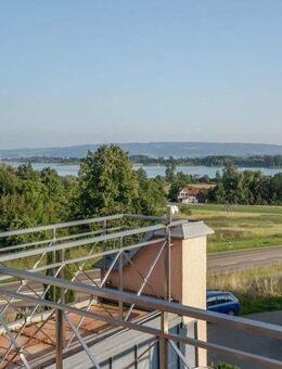 See- und Alpenblick in Radolfzell: Unternehmervilla in bester Lage der Weinburg - frei - Radolfzell (Bodensee)