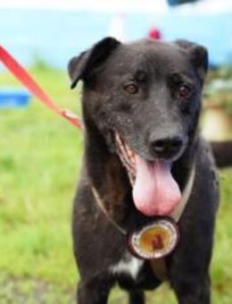 Argon wartet auf seine Chance. Bei dir? - München