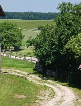 Hausbesitzer sucht Hausbesetzerin zum Besitzen - Schelklingen