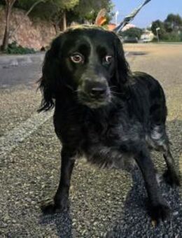 Geben Sie Maya Hoffnung? - Neuss