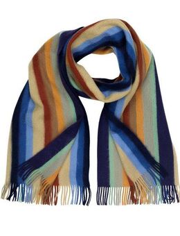 COLLEZIONE ALESSANDRO Wollschal Farbstreifen, (1-St), in modischen Farben, Made in Italy