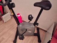 Heimtrainer - Stralsund