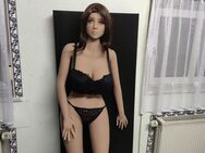 Lebensechte Sexpuppe weibliche TPE Realdoll premium realistische Liebespuppe große Brüste dicker Arsch 168cm 36kg - Berlin