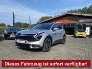 Kia Sportage, 1.6 T HEV SPIRIT DRIVE, Jahr 2024 - Langenberg