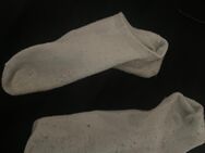 Socken/Slips - Leinefelde-Worbis Leinefelde