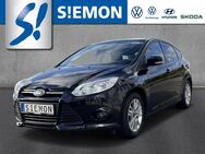 Ford Focus, 1.6 Ti-VCT Trend hzbWSS LM16, Jahr 2011 - Lengerich (Nordrhein-Westfalen)