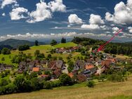 Panoramasicht zum Belchen....2-Zimmerwohnung auf dem Ehrsberg - Grafenhausen