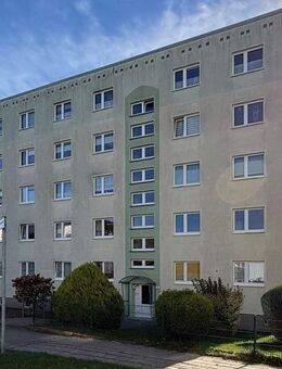 Drei Zimmer in der Hafenstadt - Sassnitz