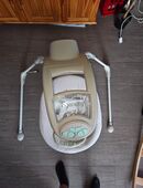 Bright Starts 60347 kuschelige Deluxe Babyschaukel mit drehbarem Sitz TopZustand in 03096