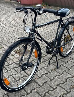 Herrenrad Rixe Overdrive - Herne