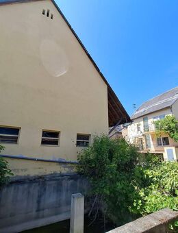 Ideal z.B. für Tierhalter, Hobbyschrauber, Handwerker mit Lagerbedarf: Haus mit PV-Anlage und mehreren Nebengebäuden! - Polch