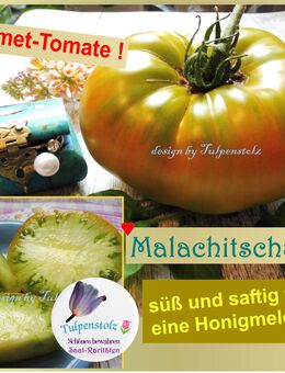 ♥ Bio Tomate Malachitschatulle,Samen,Melone samenfest Tulpenstolz,Malakhitovaya Shkatulka,Smaragd grün, honigsüß,Garten,Saatgut alte Sorte, Malachit Schatulle - Hamburg