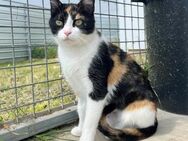 Trina; vom Glück verlassen - Geilenkirchen