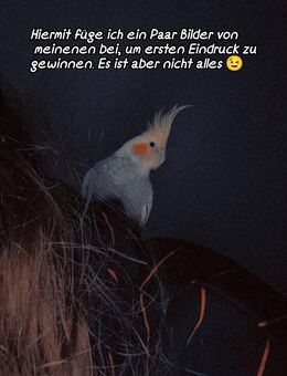 Ich nehme Ihre Vögel auf ❣️ - Essen