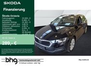 Skoda Octavia, 2.0 TDI Style Combi, Jahr 2021 - Freiburg (Breisgau)