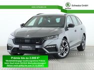 Skoda Octavia, 2.0 TSI Combi, Jahr 2024 - Gersthofen