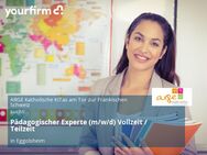Pädagogischer Experte (m/w/d) Vollzeit / Teilzeit - Eggolsheim