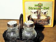 WMF Ministreuerset für Salz und Pfeffer - Dresden