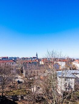 Besondere Maisonettewohnung - mondän und modern - im Denkmal unweit der Elbwiesen. - Dresden